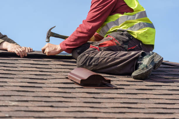 Best Residential Roofing Contractor  in Ly Lake, IL
