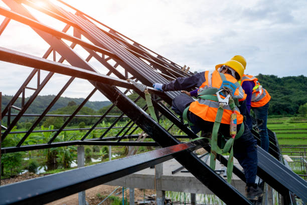 Best Roof Replacement Cost  in Ly Lake, IL