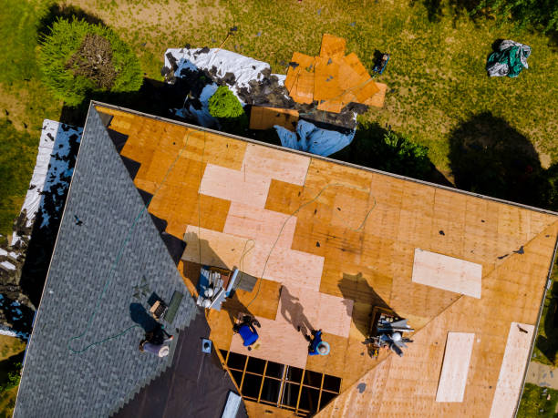 Best Slate Roofing Contractor  in Ly Lake, IL