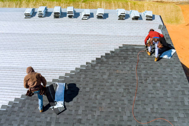 Best Residential Roofing Contractor  in Ly Lake, IL