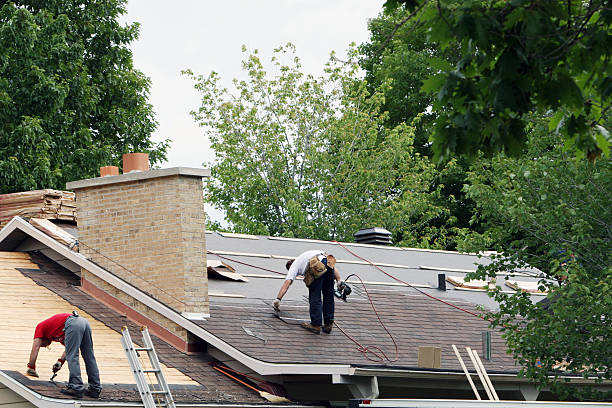 Best Best Roofing Contractors  in Ly Lake, IL