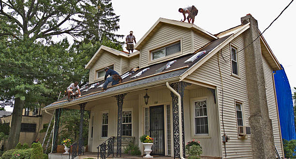 Best Flat Roof Repair Services  in Ly Lake, IL