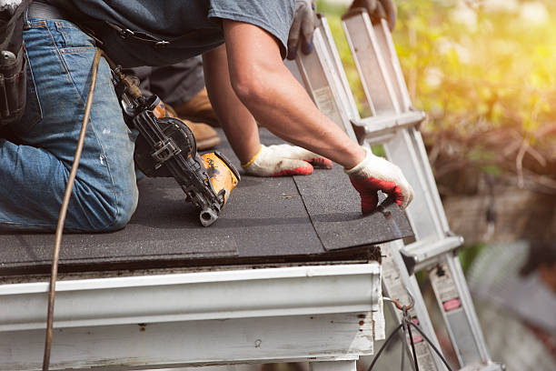Best Roof Leak Repair  in Ly Lake, IL