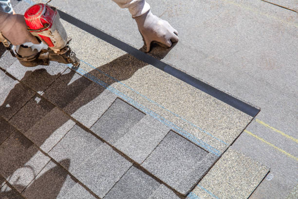 Best Roof Gutter Cleaning  in Ly Lake, IL